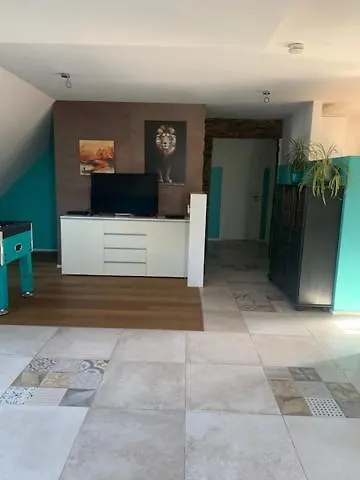 דירה Exklusive Und Grosszuegige In Mosbach-diedesheim *